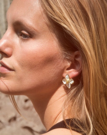 Clematis Spring image 2