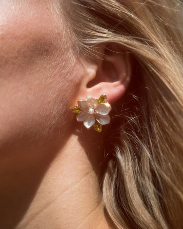 Pearly Jasmine image 1