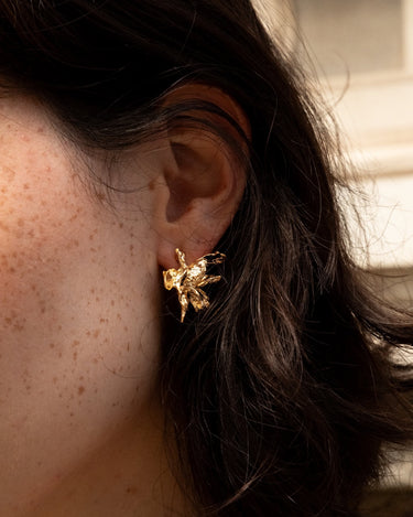 Flower Candlelit image 1