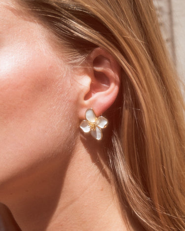 Clematis Spring image 1