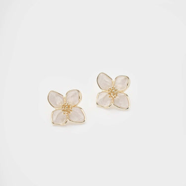 Clematis Spring image 4